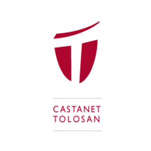 épaviste Castanet-tolosan